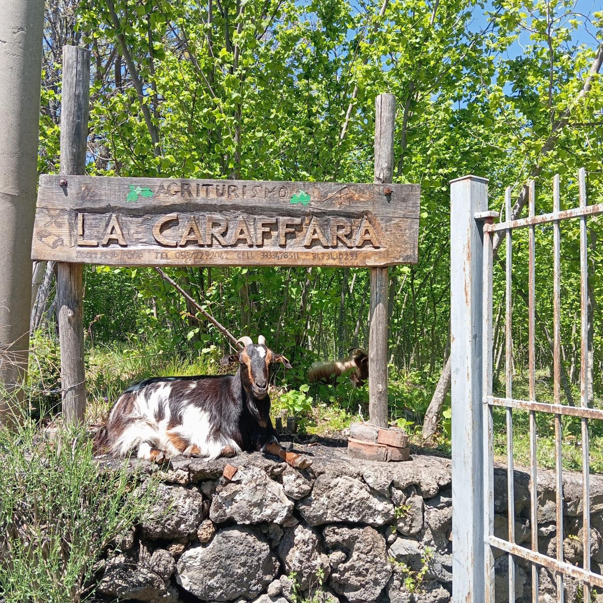 Agriturismo La Caraffara Sull' Etna Puntalazzo Exterior photo