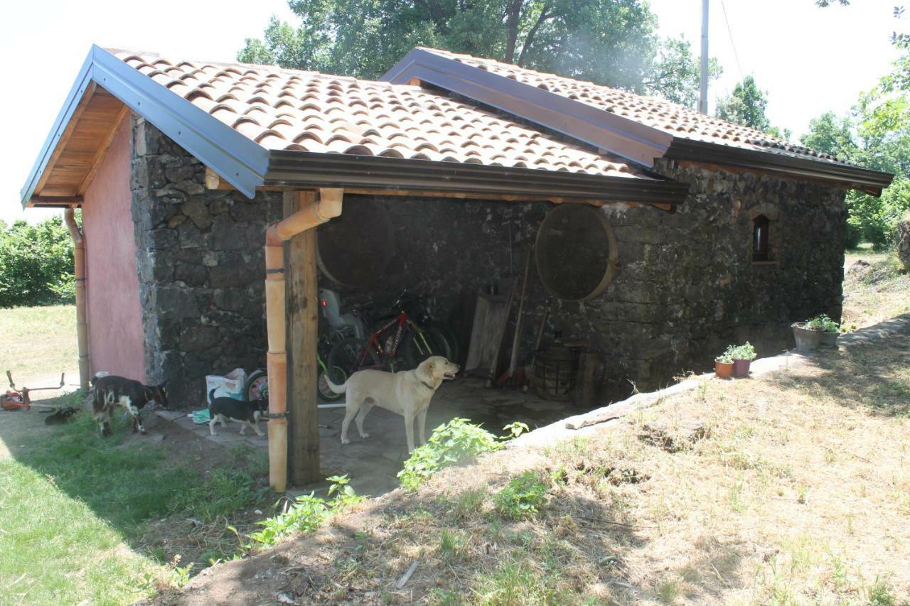 Agriturismo La Caraffara Sull' Etna Puntalazzo Exterior photo